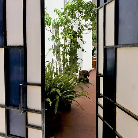 Collection: Butterfly Apartment Taormina
