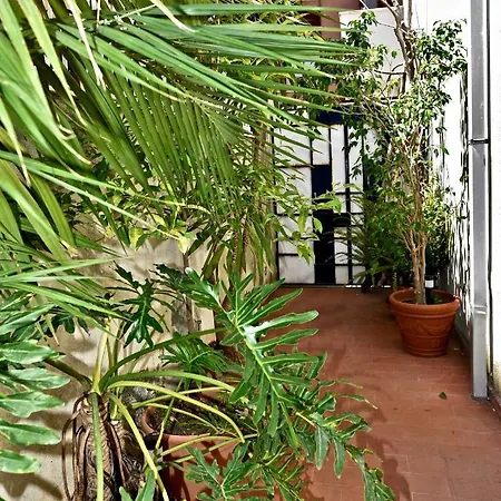 Collection: Butterfly Apartment
