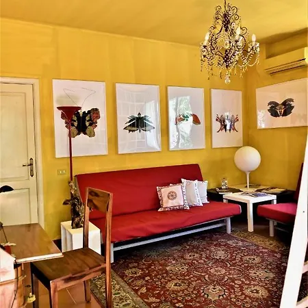 Collection: Butterfly Apartment