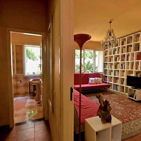 Collection: Butterfly Apartment